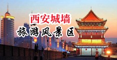 色淫阴骚逼妓女激情视频中国陕西-西安城墙旅游风景区