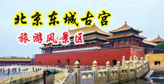www.中学在线被插中国北京-东城古宫旅游风景区